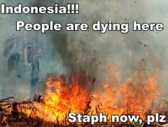 Indonesia fire