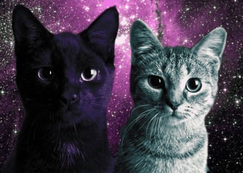 CatFromSpace