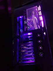Purple LED's