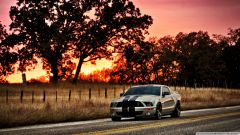 ford_shelby_hdr-wallpaper-1920x1080.jpg