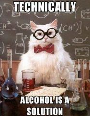 chemistry Cat tells No lies 93757