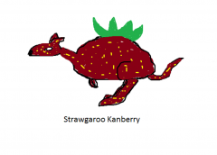 Strawgaroo Kanberry