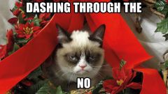 Grumpy Cat Meme Pictures humor funny cats christmas 1920x1080
