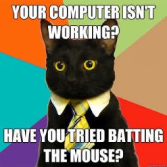 Cat computer tech
