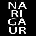 Narigaur