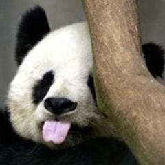 JamesLi