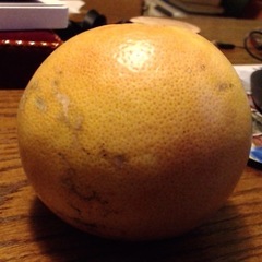 Grapefruit8706