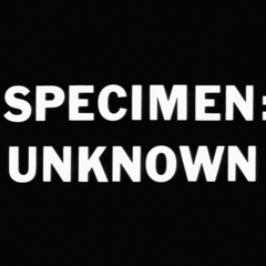 UnknownSpeciment