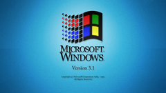 MS Windows 3.1