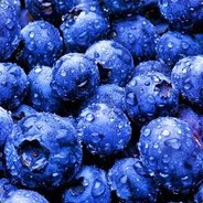 Concered About The Blueberries