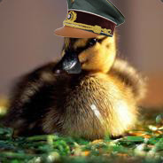 Heil Duck