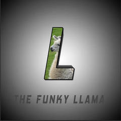 TheFunkyLlama