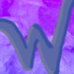 Wizertex