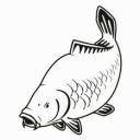 GisFish