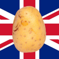the british potato