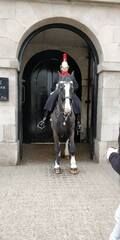 Royal Guard on a horse.