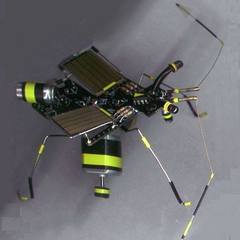 InsectTech