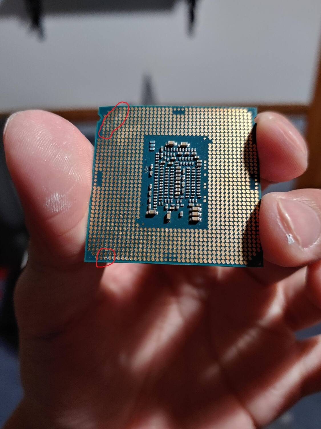 Cpu doesn. Cpu doesn