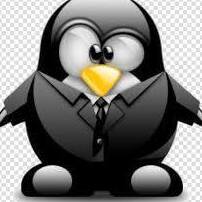 ProjectPenguinNetwork