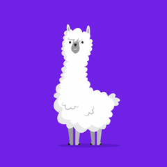 Purple_Llama5