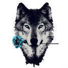 Alphawolf627