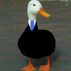 Business Goose