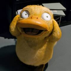 Snyduck