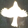 ghostbirdlary