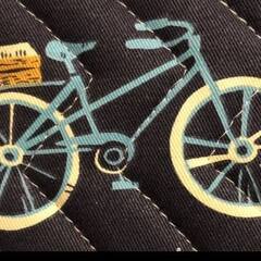 TransitBiker