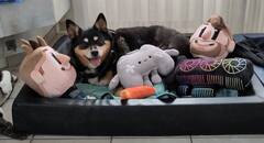 Jessie with all of her Toys from LTTStore.com.