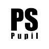 PSPupil
