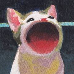 n00b13s