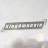 KingAmnesia