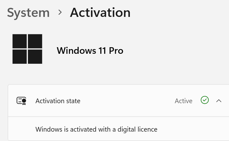 Windows 11 Professional Digital Licence