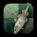Stockfish 16
