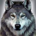 WolfOfValahalla