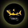 TerusTechnologyCompany