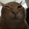 victormunr0