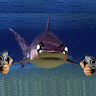 bullshark369