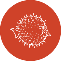UNIXNETWORK
