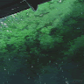 justneedabitofgnome