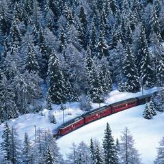 Fawaz3469