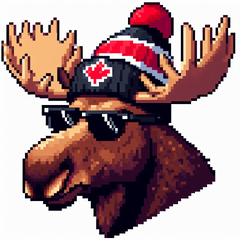 tommoose13