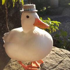 get_ducked