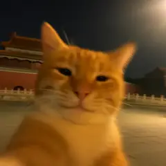 BuggedCookie