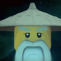 Master Wu