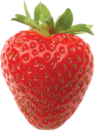 Strawberry Guardian