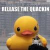 QuackPatton