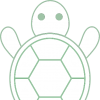 Turtle Design Tech