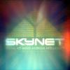 Skynet1308